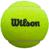 BYD OPEN - Torneio Padel Vila Real